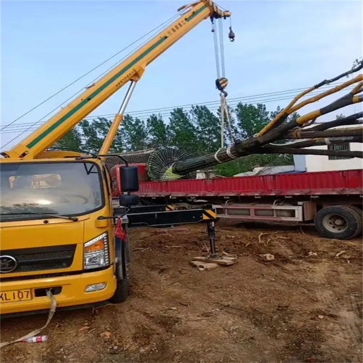 高石碑镇100吨吊车租赁费用怎么算？3大关键因素+省钱技巧全解析